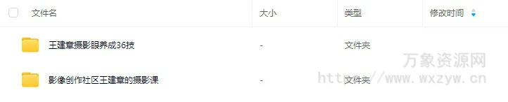摄影眼养成36技+影像创作社区王建章的摄影课【画质不错只有视频】