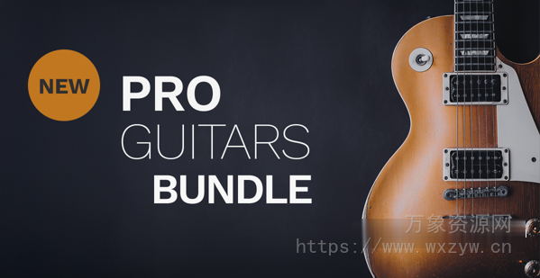 [30个吉他采样包合集] Steinberg Pro Guitar Bundle [VSTSOUND]（33.21GB）