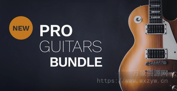 [30个吉他采样包合集] Steinberg Pro Guitar Bundle [VSTSOUND]（33.21GB）