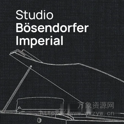 [贝森朵夫帝王虚拟钢琴] Vienna Symphonic Library VSL Studio Bosendorfer Imperial (Synchron Piano Player)（32.66GB）