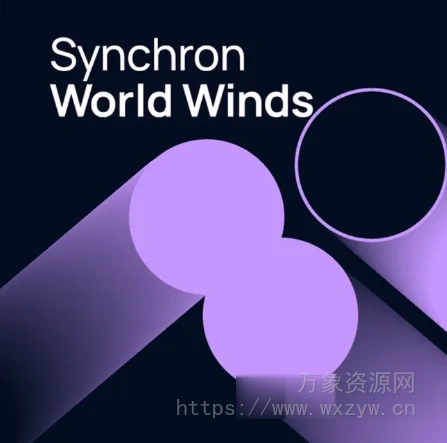 [80种异域风情木管乐器合集] VSL Vienna Symphonic Library Synchron World Winds (Without Zurna) for Synchron Player（63.7GB）