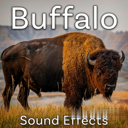 [水牛音效FX采样] Sound Ideas Buffalo Sound Effects [FLAC]（132MB）