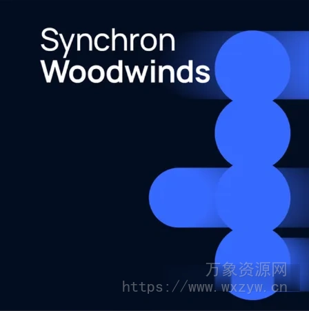 [木管乐器音色库]Vienna Symphonic Library Synchron Woodwinds (Synchron Player)（112.32GB）