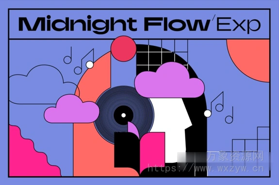 [轻松惬意的低保真音色包] Native Instruments Midnight Flow MPC Expansion WAV XPN XPM by pigeon3（1.67GB）