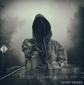 [恐怖女生音效FX采样] Analog Samples Scary Voices [WAV]（25.35MB）