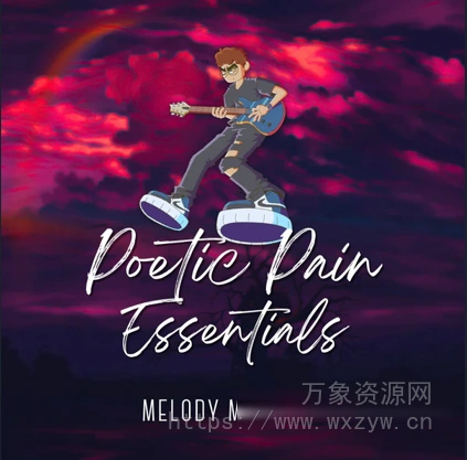 [终极乡村流行摇滚旋律多素材包] Bino Beats Poetic Pain Essentials Melody Multi-Kit [WAV]（4.62GB）