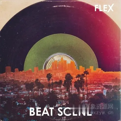 [Flex扩展：125 个模拟氛围预设] Image-Line Beat Scene [Synth Presets]（271.2MB）