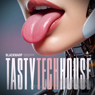 [科技浩室采样] Black Octopus Sound Tasty Tech House [WAV]（606.06MB）