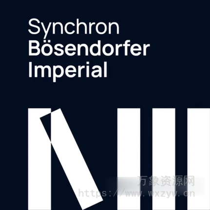 [贝森朵夫帝王型钢琴] VSL Vienna Symphonic Library Synchron Bosendorfer Imperial Full (Synchron Piano Player)（98.41GB）