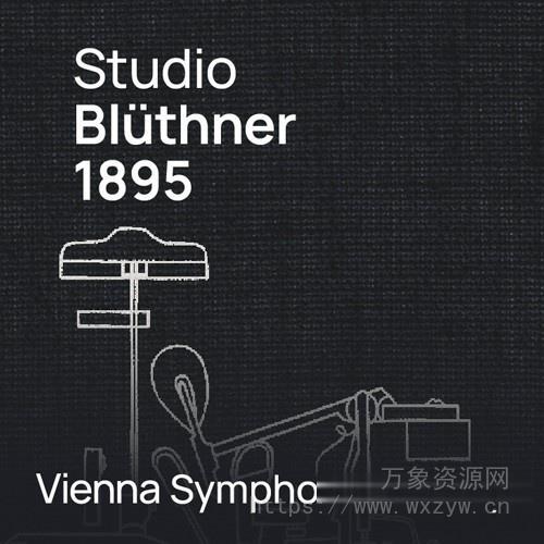 [立体声：布鲁特纳音乐会三角钢琴] Vienna Symphonic Library Studio Bluthner 1895 Stereo for Synchron Pianos [WiN]（17.1GB）