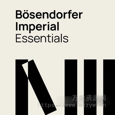 [世界顶级贝森朵夫音乐会三角钢琴] VSL Bosendorfer Imperial Essentials Stereo for Synchron Pianos-R2R [WiN]（12.69GB）