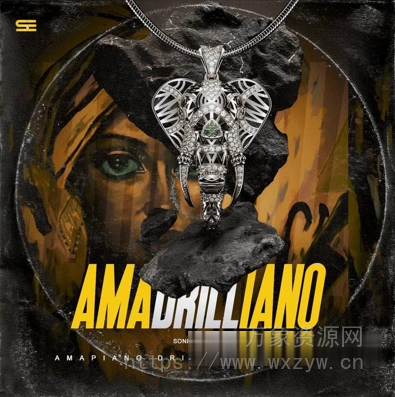 [非洲节奏陷阱采样] Sonics Empire Amadrilliano [WAV, MiDi]（829.41MB）