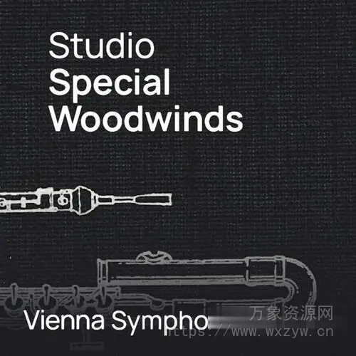 [美妙的木管乐器世界] VSL Vienna Symphonic Library Studio Special Woodwinds (Without Basset Horn) for Synchron Player（29GB）