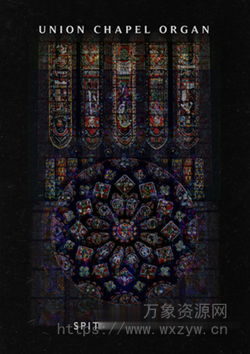 [伦敦联合教堂管风琴音源] Spitfire Audio Union Chapel Organ [KONTAKT]（7.26GB）