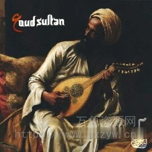 [民族东方阿拉伯波斯风情素材包] LBandyMusic Oud Sultan [WAV, AiFF, KONTAKT]（471MB）