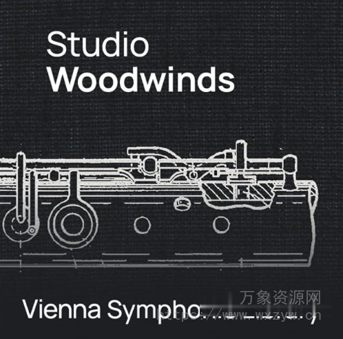 [维也纳交响乐库木管乐器套装] VSL Vienna Symphonic Library Studio Woodwinds (VSL Synchron Player)（58GB）