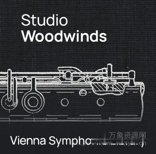 [维也纳交响乐库木管乐器套装] VSL Vienna Symphonic Library Studio Woodwinds (VSL Synchron Player)（58GB）