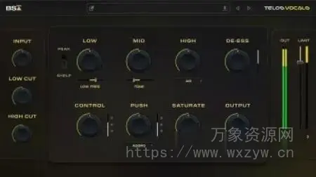 [完美轻松获得电台级人声的混音插件] Black Salt Audio Telos Vocals v1.0.12-SEnki [WiN]（17.4MB）