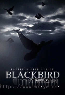 [黑鸟高级鼓音源] 8Dio Advanced Drum Series Blackbird [KONTAKT]（6.76GB）