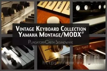 [MONTAGE M系列合成器扩展复古键盘] PurgatoryCreek Soundware Vintage Keyboard Collection Montage MODX（227MB）