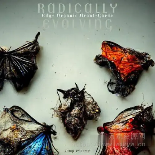 [影视乐采样] SampleTraxx Radically Evolving [WAV]（1.23GB）