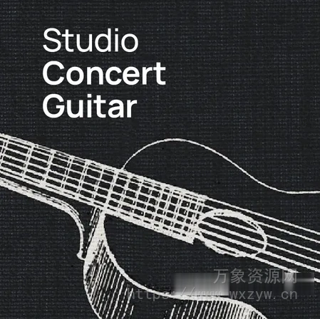 [独一无二的音乐会吉他音色库] VSL Vienna Symphonic Library Studio Concert Guitar  (VSL Synchron Player)（1.8GB）