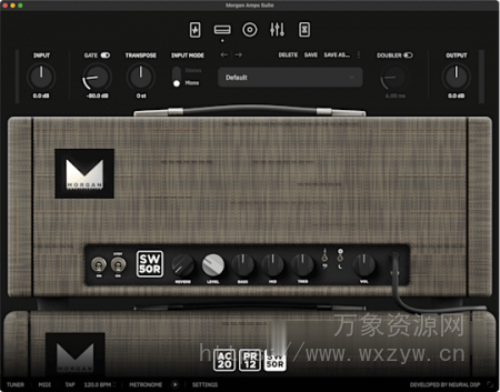 [经典吉他放大器] Neural DSP Morgan Amps Suite v1.1.1-R2R [WiN]（104.6MB）