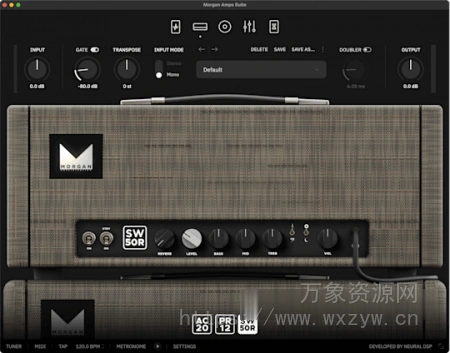 [经典吉他放大器] Neural DSP Morgan Amps Suite v1.1.1-R2R [WiN]（104.6MB）
