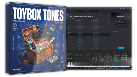 [氛围嘻哈陷阱素材Analog Lab预置] Relooped ToyBox 100 Analog Lab Preset Bank [WAV, MiDi]（1.93GB）