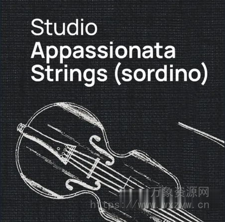 [弦乐合奏音色库] VSL Vienna Symphonic Library Studio Studio Appassionata Strings (Sordino) for Synchron Player（6.84GB）