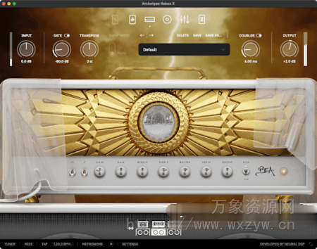 [吉他音箱模拟效果器]Neural DSP Archetype Rabea X v1.0.1 [WiN, MacOSX]（92.53MB+740MB）