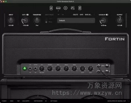 [怪兽级放大器] Neural DSP Fortin Nameless Suite X v1.0.1-R2R [WiN]（58.38MB）