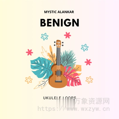 [流行乡村尤克里里采样] Mystic Alankar Benign Ukulele Loops [WAV]（684.69MB）