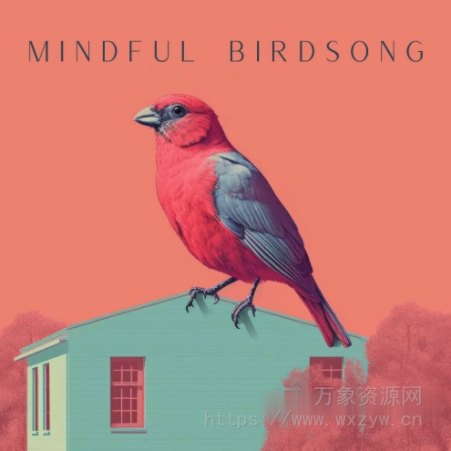[禅意鸟鸣音效库] Sound FX Zone Mindful Birdsong [FLAC]（1.32GB）
