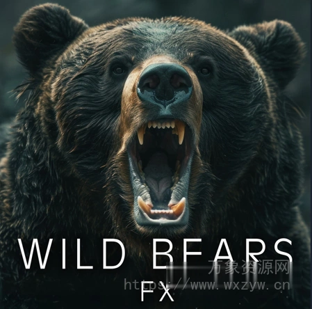 [视频配音狂野熊群音效库] Sound Ideas Wild Bears FX [FLAC]（300.77MB）