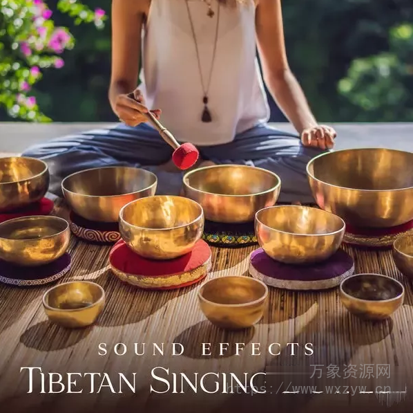 [西藏颂钵冥想音效FX采样] Sound Effects Zone Sound Effects Tibetan Singing Bowls for Meditation [WAV, FLAC]（399MB）