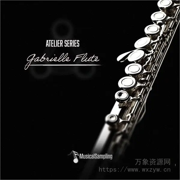 [连奏长笛音源] Musical Sampling Gabrielle Flute [KONTAKT]（1.8GB）