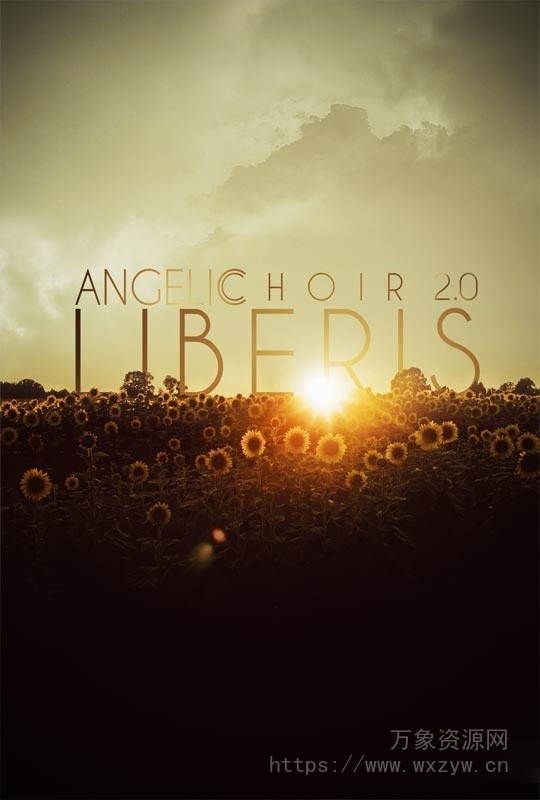 [天使童声合唱团音源]8Dio Liberis Angelic Choir Instrument v2.0 [KONTAKT]（7.16GB）