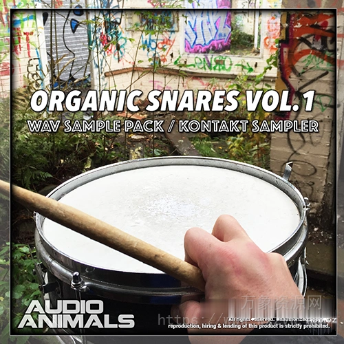 [军鼓采样音色合集] Audio Animals Organic Snares Vol 1 [KONTAKT]（50MB）