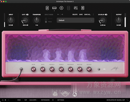 [牛X的吉他效果插件]Neural DSP Archetype Tim Henson X v1.0.1-R2R [WiN]（75.1MB）
