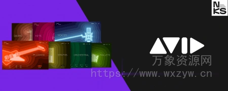 [兼容Pro Tools 版本 70 种乐器音色库] Pro Tools Factory Essentials v1.0.0 [KONTAKT]（3.2GB）