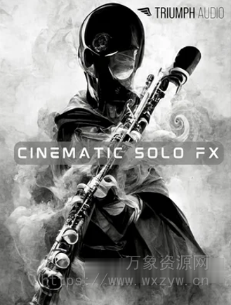 [管弦乐独奏效果音色库] Triumph Audio Cinematic Solo FX [KONTAKT]（3.47GB）