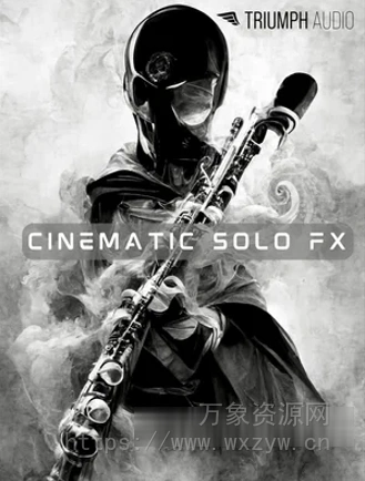 [管弦乐独奏效果音色库] Triumph Audio Cinematic Solo FX [KONTAKT]（3.47GB）