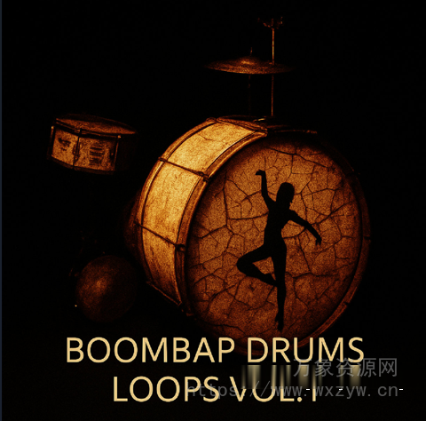 [灵魂RnB鼓组采样]DJ Tools 4 Turntablism Boom Bap Drums Vol.2 [WAV]（35.96MB）