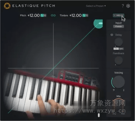 [实时音高转换插件] zplane elastiquePitch V2.5.0-V.R [MacOSX]（16.82MB）