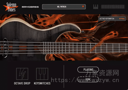 [终极贝斯采样器] Solemn Tones MayoBass [WiN, MacOSX]（2.42GB+3.64GB）