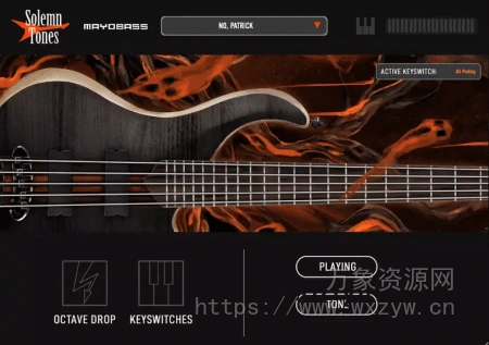 [终极贝斯采样器] Solemn Tones MayoBass [WiN, MacOSX]（2.42GB+3.64GB）