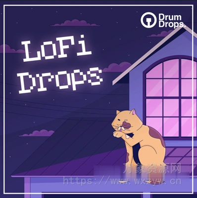 [低保真嘻哈说唱采样]DrumDrops LoFi Drops [WAV]（3.03GB）