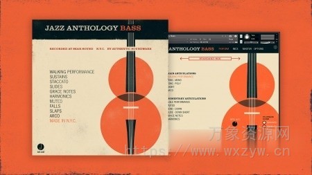 [爵士贝斯乐器音色库] Authentic Soundware Jazz Anthology Bass [KONTAKT]（5.06GB）