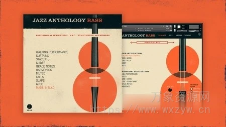 [爵士贝斯乐器音色库] Authentic Soundware Jazz Anthology Bass [KONTAKT]（5.06GB）